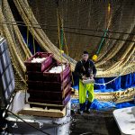 Image of commercial fisherman