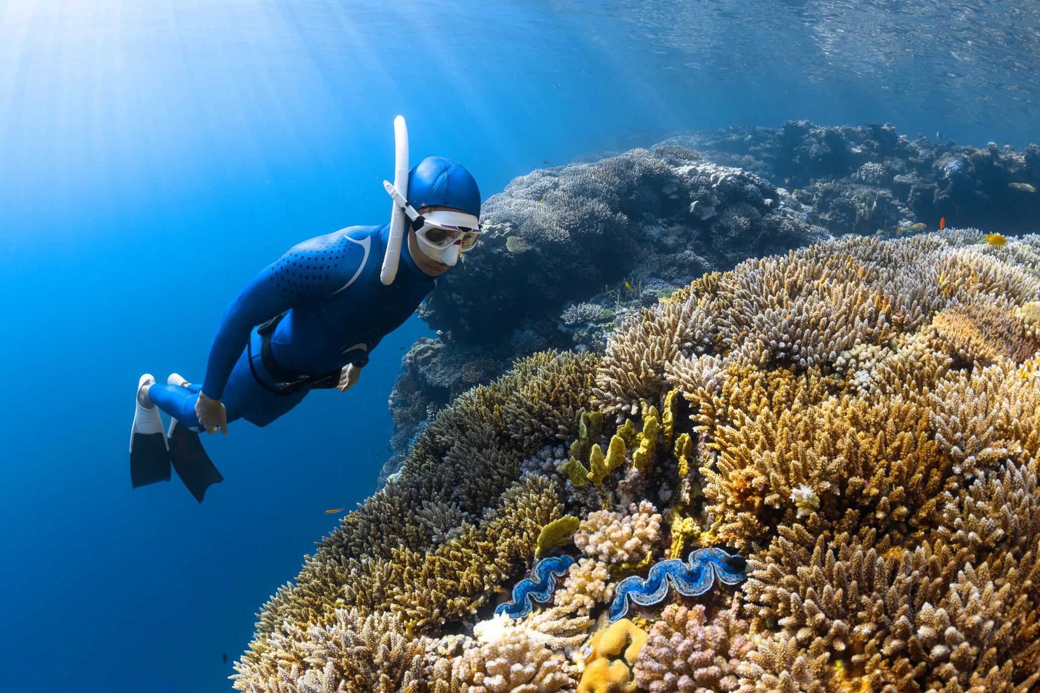 Photo of a person diving under the sea near coral